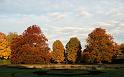 2009-10-26, Herbstfärbung (1)
